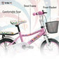VAUX Carnival Kids Bike 12 Inch - Light Pink - Marah Kids