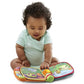 VTech ANIMAL RHYMES MUSIC BOOK (VTUS) - Marah Kids
