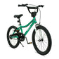 Whimsy Wheels Classic 20" Kids Bike - Green - Marah Kids