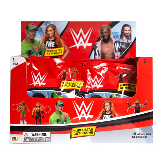 Wwe -3D Figural Keychains In Foil Bag, 24 Pcs In Cdu.
