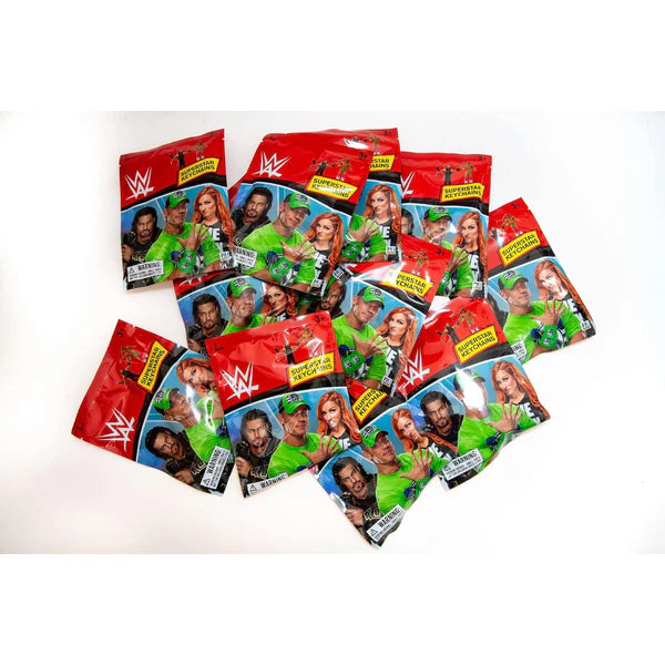 Wwe -3D Figural Keychains In Foil Bag, 24 Pcs In Cdu.