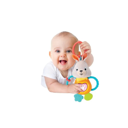 Winfun -Bouncy Bunny Jungle Fun