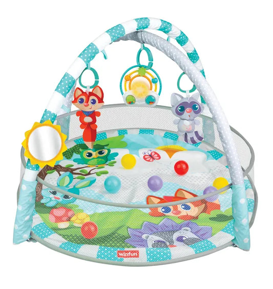 Winfun -PlaySpace Play Gym and Ball Pit