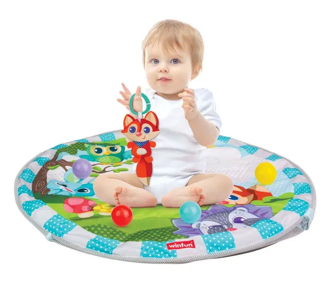Winfun -PlaySpace Play Gym and Ball Pit