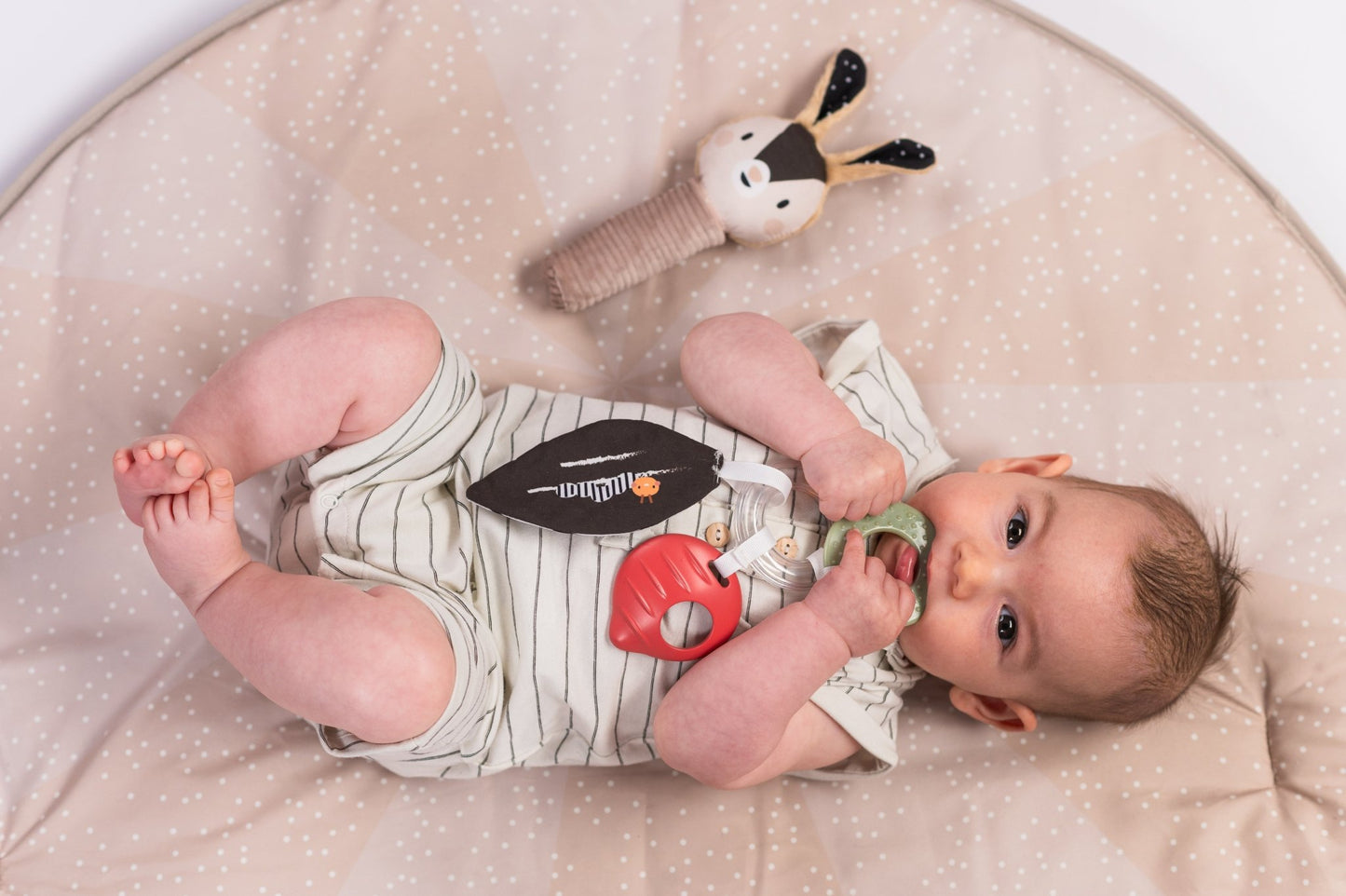 Taf Toys - Newborn Black & White Kit - Marah Kids