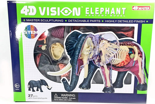 4D Elephant Anatomy - Marah Kids