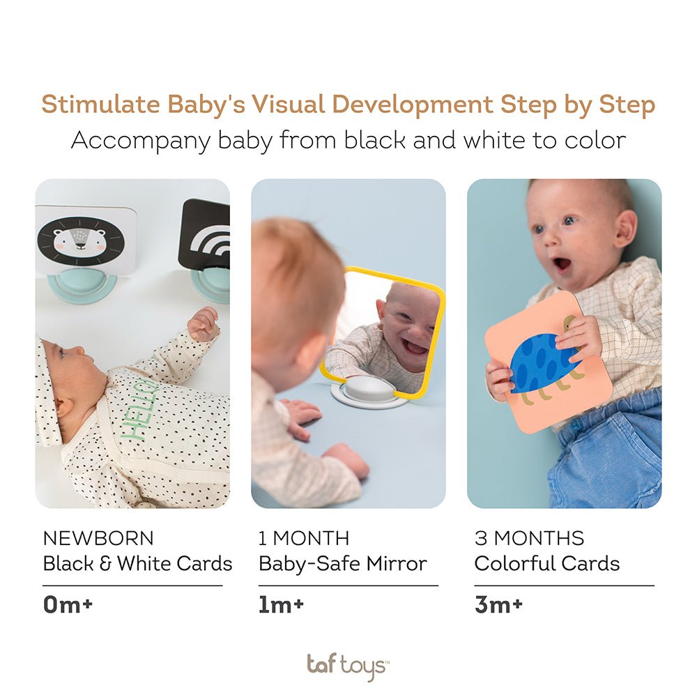 Taf Toys - My 1st Tummy - time Cards - Marah Kids