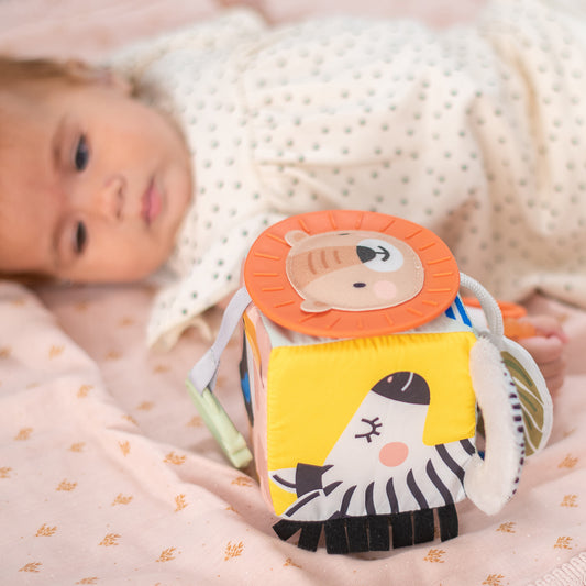 Taf Toys - Savannah Discovery Cube