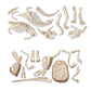 Clementoni Triceratops and Velociraptor Dig Kit - Marah Kids
