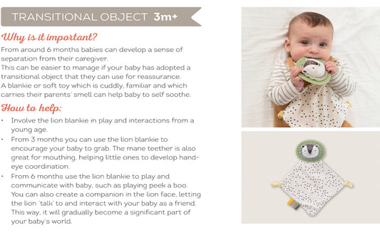 Taf Toy - Hello Baby Newborn Developmental Toy Kit - 12 Pcs