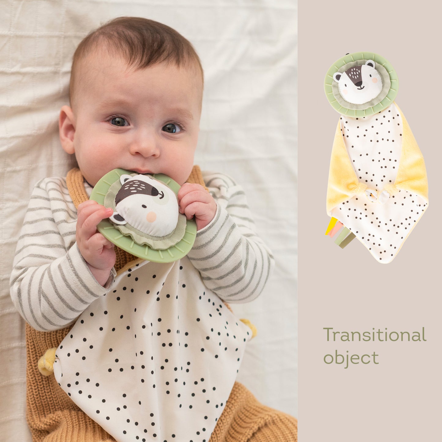 Taf Toy - Hello Baby Newborn Developmental Toy Kit - 12 Pcs