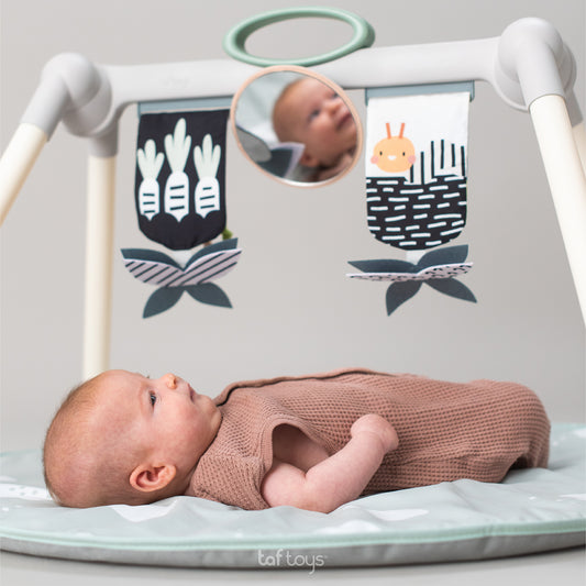 Taf Toys Urban Garden Foldable Gym | Double-Sided Baby Play Gym, 0M+
